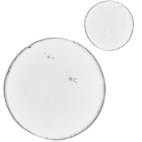 THE ORDINARY Glucoside Foaming Cleanser, Balancing & Clarifying Serum, Azelaic Acid Suspension 10% and Natural Moisturizing Factors + HA